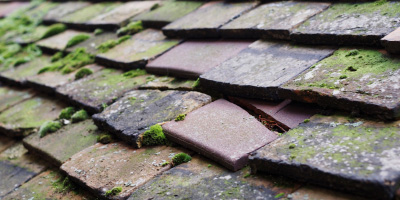 Linslade roof repair costs
